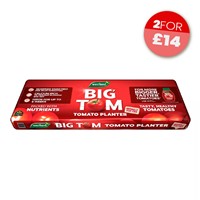 Big Tom Peat Free Tomato Planter