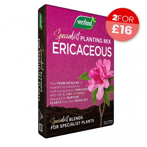Westland Peat Reduced Ericaceous Compost - 46L