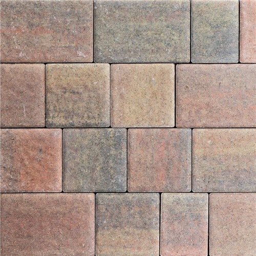 Ashford 50mm Mixed Sizes - Juniper